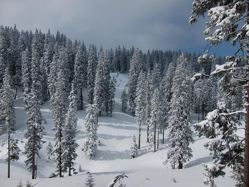 Kuhschneeberg